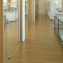 WoodTrade SVL Floor Strips