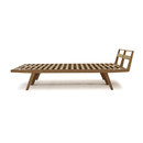 Plinio il Giovane Brandina