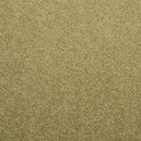 Slo 420 - 601 Carpet Concept
