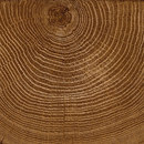 VIVES Cerámica Sutton Natural Ceramic Ceramic flooring Ceramics/clay: floor tiles Floor tiles
