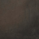 Pampas pitch black Alphenberg