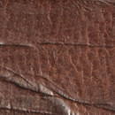 Prägung 103 Alphenberg