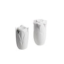 Lladró Naturofantastic Salt&Pepper Shak Esstischaccessoires