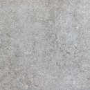 Belgian Grey In Caesar
