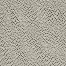 Vale Kvadrat
