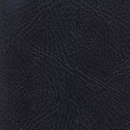 Pegasus Ebony SPRADLING