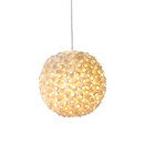 ANGO Evolutionette Pendant lights