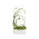 OFFECCT O2asis - Green Divider Ergänzungsmöbel Raumtrennung
