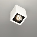 R07 up Trizo21