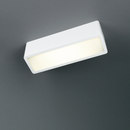 R54 up fluo Trizo21