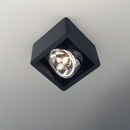 R110 up Trizo21
