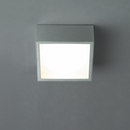 Saver small Trizo21