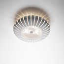 Marset Maranga C Ceiling-mounted lights Wall-mounted lights