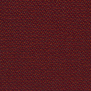 Credo Coral Montis