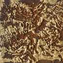 VEROB Patination | Relief Metal Metal: sheets/panels Surface finishings: Antiquing Wall panels