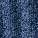 Concept 501 - 416 Carpet Concept