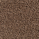 Concept 502 - 147 Carpet Concept