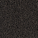 Concept 502 - 153 Carpet Concept