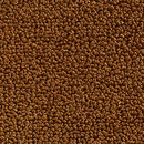 Concept 502 - 206 Carpet Concept