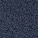 Concept 502 - 429 Carpet Concept