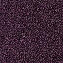 Concept 502 - 436 Carpet Concept