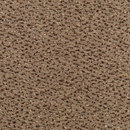 Concept 503 - 136 Carpet Concept