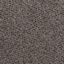 Concept 503 - 149 Carpet Concept