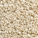 Concept 504 - 115 Carpet Concept