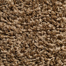 Concept 504 - 159 Carpet Concept