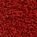 Concept 504 - 209 Carpet Concept