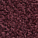 Concept 504 - 251 Carpet Concept