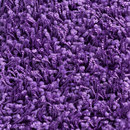 Concept 504 - 437 Carpet Concept