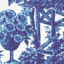 Jardin Bleu C Bisazza