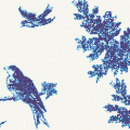Jardin Bleu E Bisazza