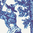 Jardin Bleu H Bisazza
