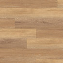 Light Collection Planche Project Floors