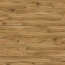 Premium Collection Plank Project Floors