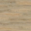 Woba Kollektion Planche Project Floors
