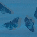 Fap Ceramiche Cielo Farfalle Indaco Inserto Mix 2 Ceramic Ceramics/clay: wall tiles Wall tiles