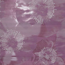 Cielo Sofﬁo Malva Inserto Mix 3 Fap Ceramiche