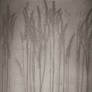 VEROB Leaf metal allocation | grasses Acabado: revestimiento Metal: paneles/placas Paneles murales