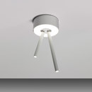 Virtus Axo Light