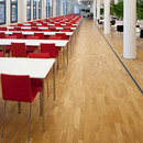 Lindner Group LIGNA raised floors Sols en bois Sols surélevés