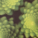 Giardini I Giardini delle meraviglie Cavolo Wall fabrics Wallcoverings / Wallpaper
