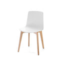 Lottus Chair ENEA