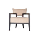 Schönhuber Franchi newton armchair Lounge area / Waiting room Seating