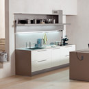 Arclinea Laevia
