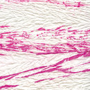 Elitis Geisha RM 644 50 Papeles pintados