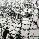 Flora Black-White 2Form Design
