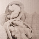 Custom Serigraphy Ezarri